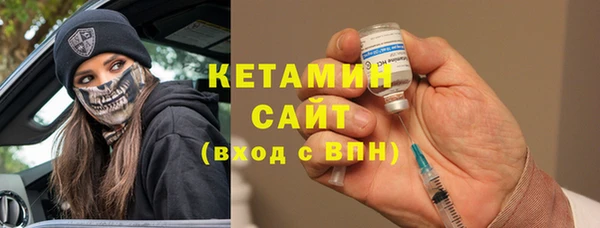 шишки Белоозёрский