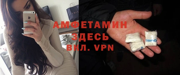шишки Белоозёрский