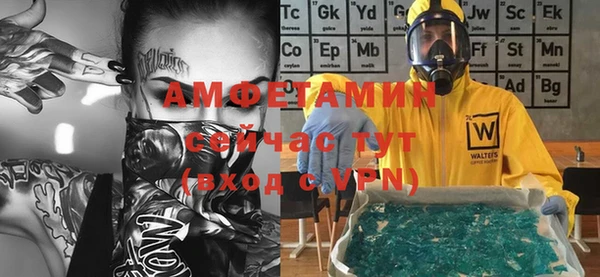 шишки Белоозёрский