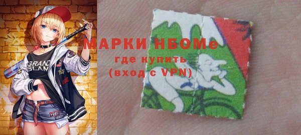 шишки Белоозёрский