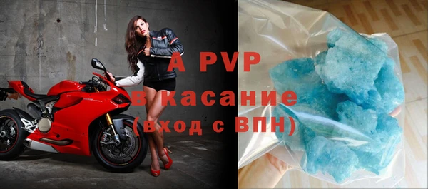 шишки Белоозёрский
