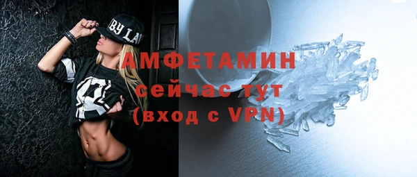 шишки Белоозёрский