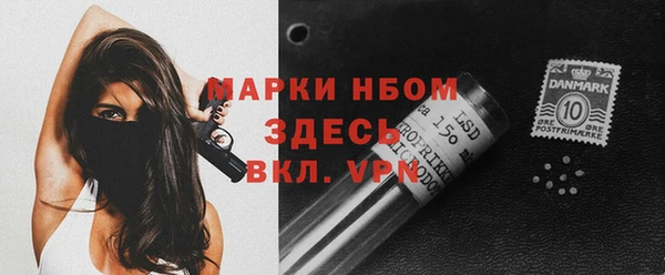 шишки Белоозёрский